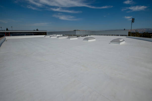 Best Roof Coating and Sealing  in Lake Monticello, VA